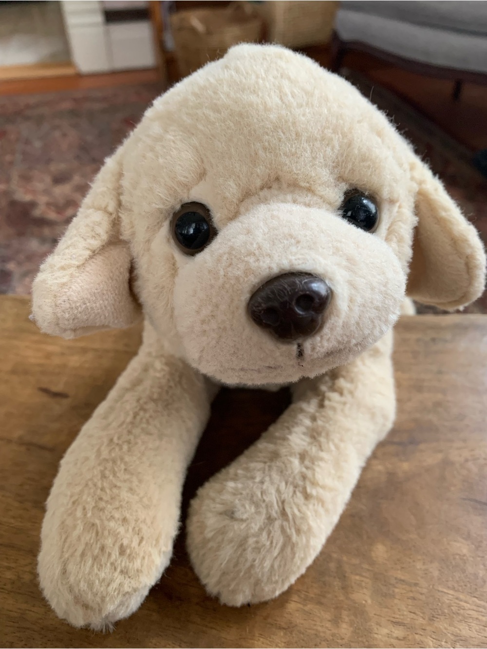 FAO Schwarz Plush Cream Dog Toy - Soft Puppy Stuffed Animal